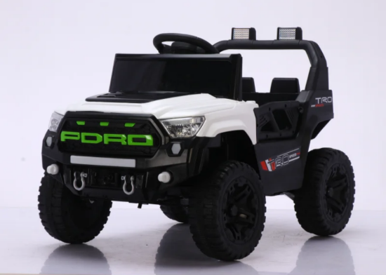 صورة جيب PORD كهربائي